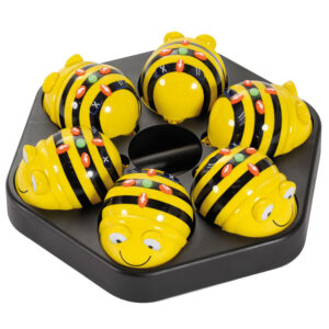 Bee-Bot Programmable Robot